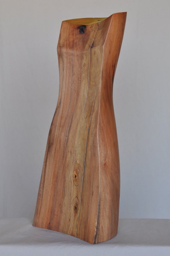 Tara, Elm